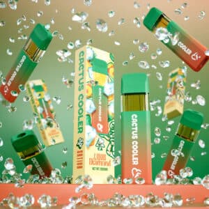 Favorites Cactus Cooler 2g liquid diamond disposable